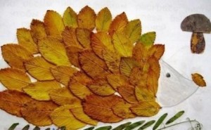 поделка ежик из сухих листьев